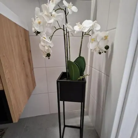 Bright Large 2br Apt With An Emperor-size Bed Lejlighed Bukarest